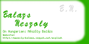 balazs meszoly business card